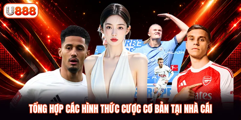 Tổng hợp các hình thức cược cơ bản tại nhà cái